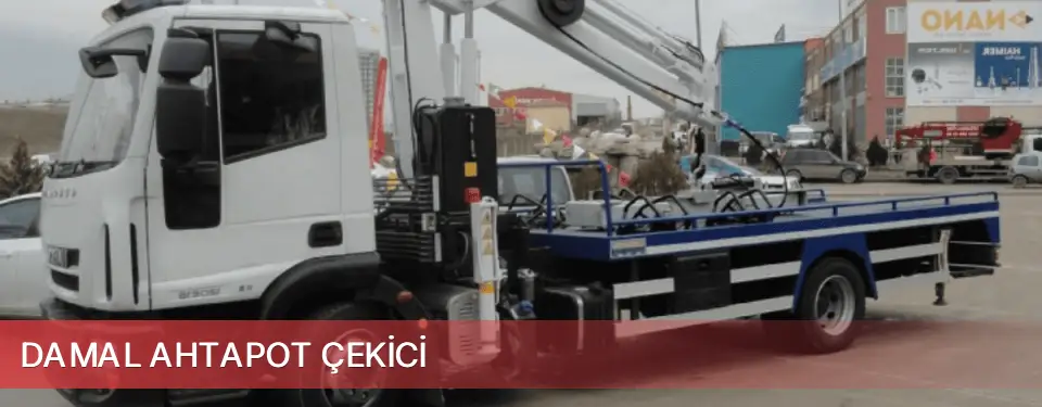 Damal İlçemi Ahtapot Çekici